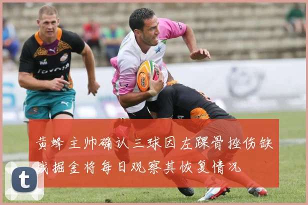 黄蜂主帅确认三球因左踝骨挫伤缺战掘金将每日观察其恢复情况