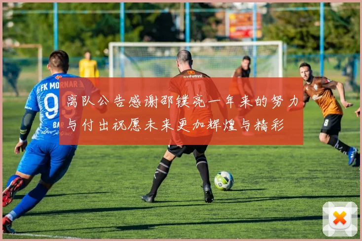 离队公告感谢邵镤亮一年来的努力与付出祝愿未来更加辉煌与精彩